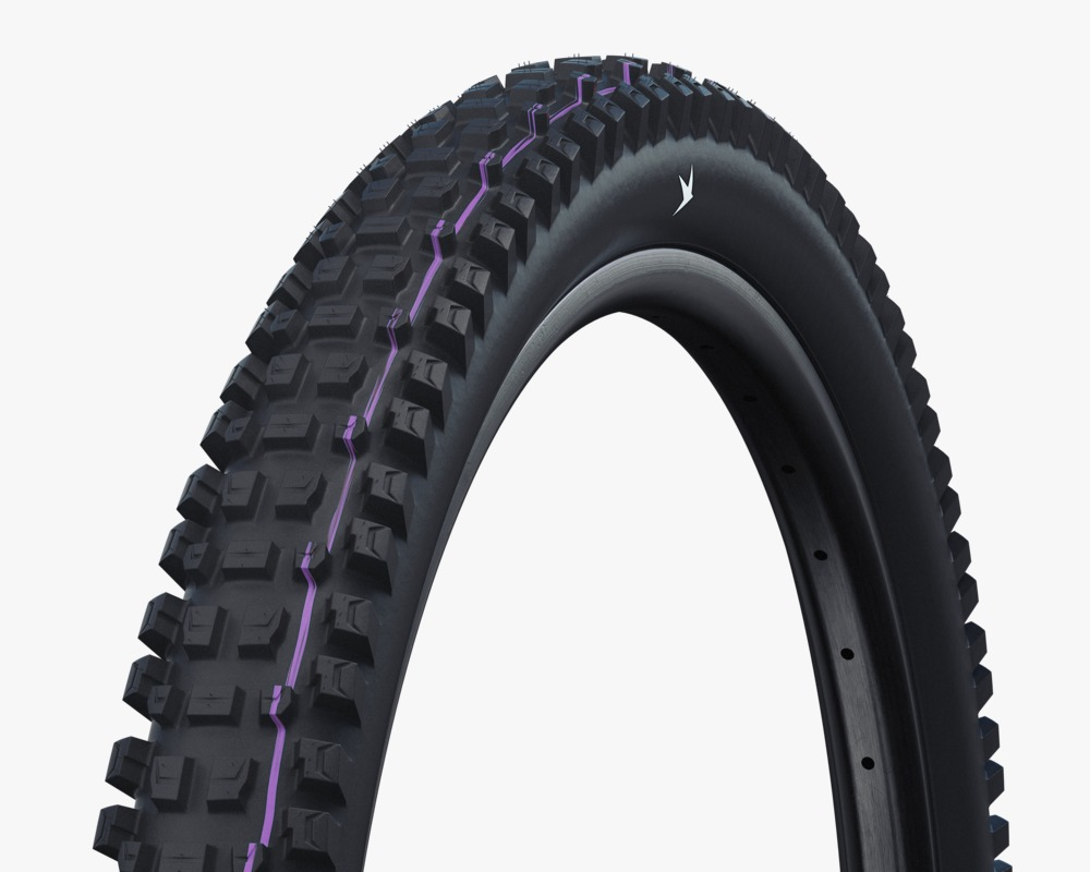 SCHWALBE Albert Pro Evo Radiai 真空可摺外呔 / SCHWALBE Albert Pro Evo Tubeless Radiai Folding Tire