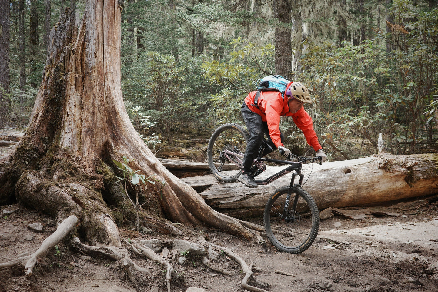 XDS 2025-悍馬 油壓碟刹內走線前後避震12速山地車 / XDS 2025-NOKOTA 12-Speed Mountain Bike