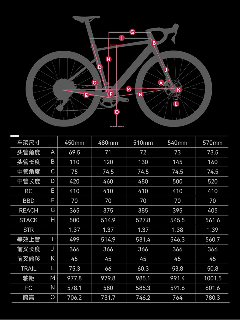 XDS AD350 油壓碟刹內走線12速公路車 / XDS AD350 12 SPEED ROAD BIKE