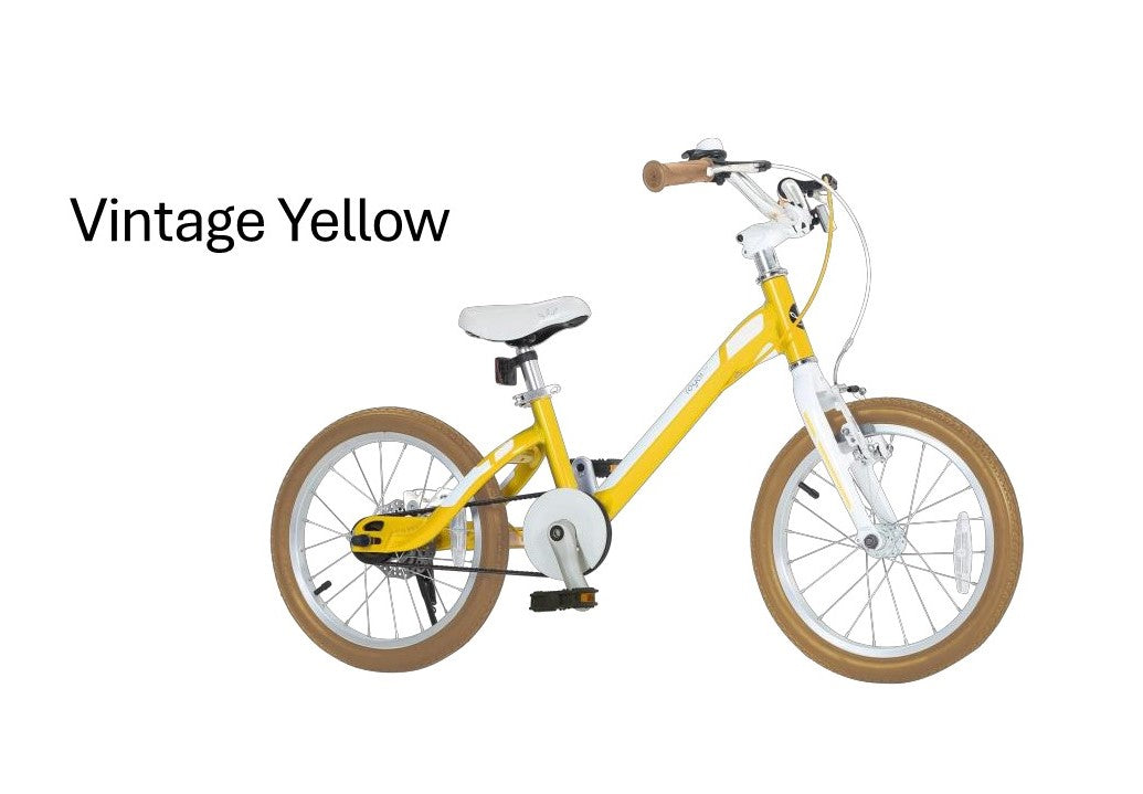 ROYAL BABY B-26 MARS 前V後碟剎鋁合金童車 /ROYAL BABY B-26 MARS ALLOY KIDS BIKE