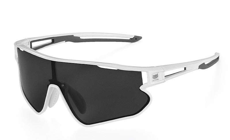 Cateye 偏光太陽眼鏡 1.5 / Cateye A.R Polarized Eyewear 1.5