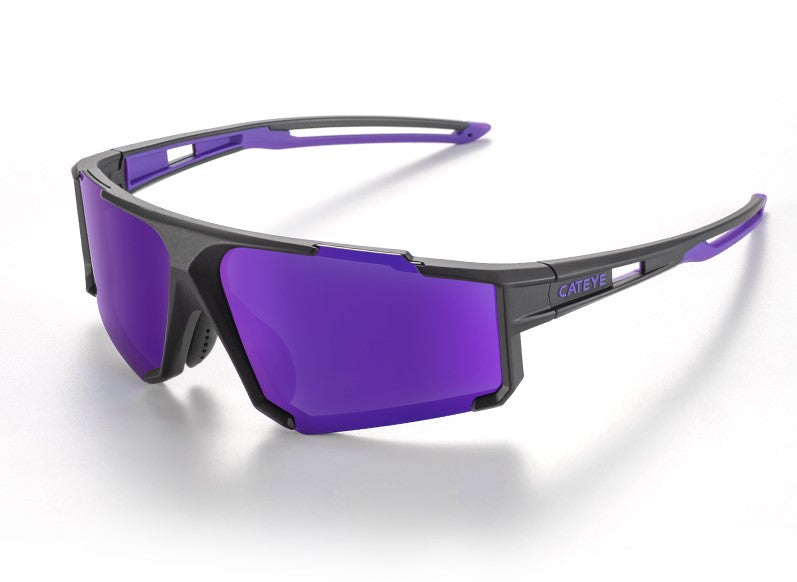 Cateye 偏光太陽眼鏡 III / Cateye A.R Polarized Eyewear III