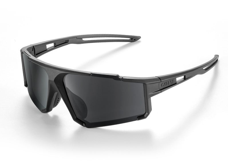Cateye 偏光太陽眼鏡 III / Cateye A.R Polarized Eyewear III