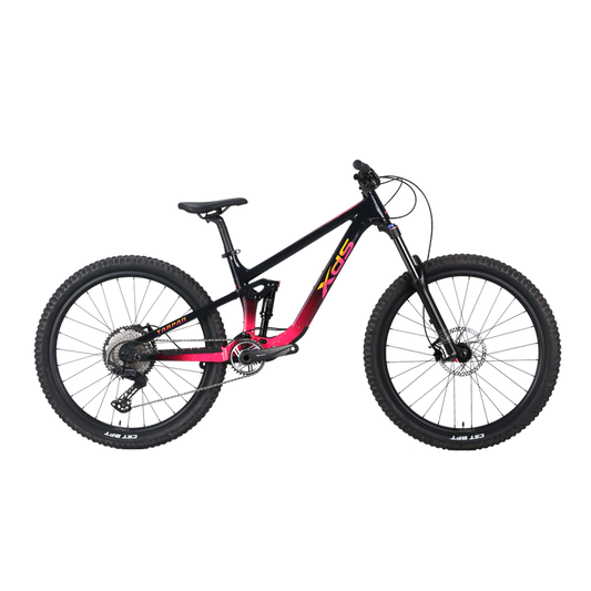 XDS 2025-烈馬PRO 油壓碟刹內走線前後避震12速山地車 / XDS 2025-TARPAN PRO 12-Speed Mountain Bike