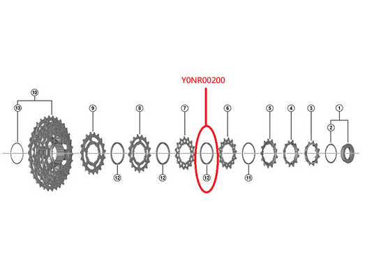 Shimano CS-R8100 飛輪介子 B