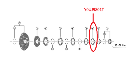 Shimano CS-R8101 飛輪齒片