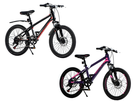 ROYAL BABY RB20-29 KING 鋁合金21速單車-20"