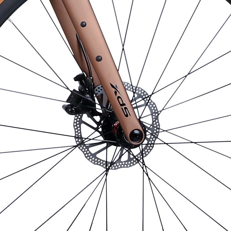 XDS GT350 油壓碟刹內走線10速礫石公路車 / XDS GT350 10-Speed Gravel Bike