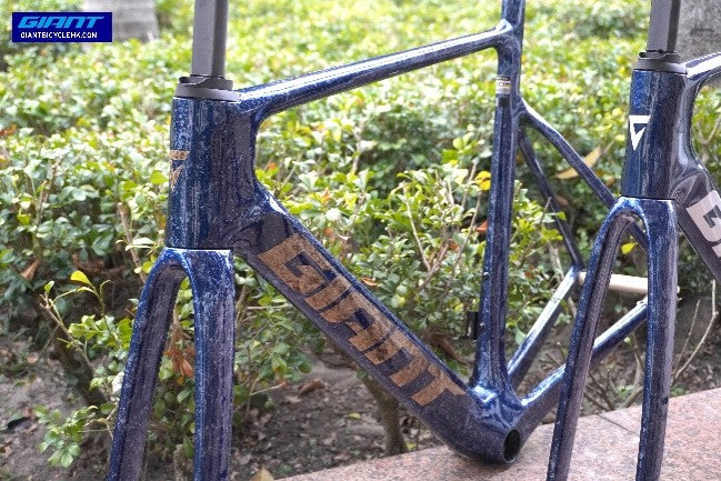 GIANT 2025 PROPEL ADVANCED PRO 公路車車架連前叉/ GIANT 2025 PROPEL ADVANCED PRO FRAME & FORK