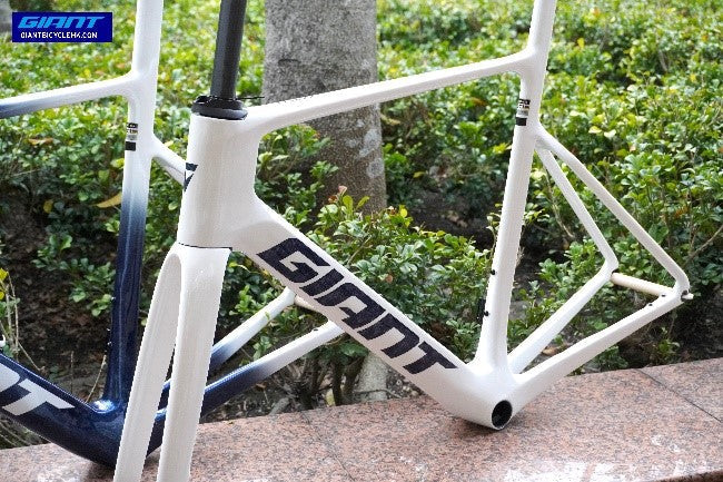 GIANT 2025 PROPEL ADVANCED SL 公路車車架連前叉/Giant 2025 Propel Advanced SL Frame & Fork