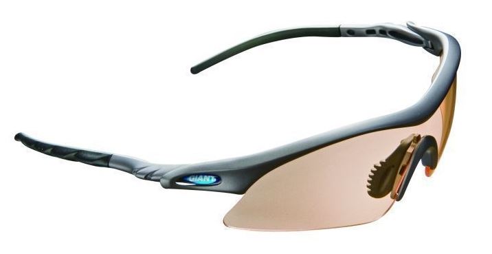 Giant Raptor 2 太陽眼鏡 / Giant Raptor 2 Sunglasses