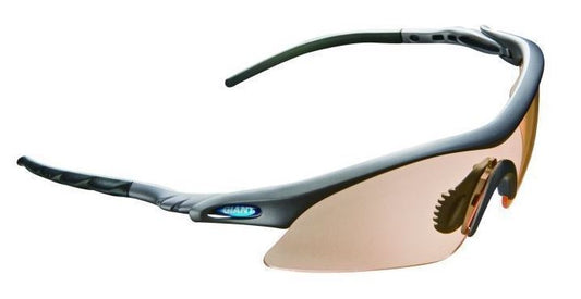 Giant Raptor 2 太陽眼鏡 / Giant Raptor 2 Sunglasses