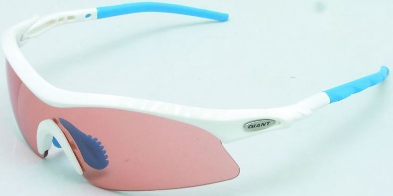 Giant Raptor 2 太陽眼鏡 / Giant Raptor 2 Sunglasses