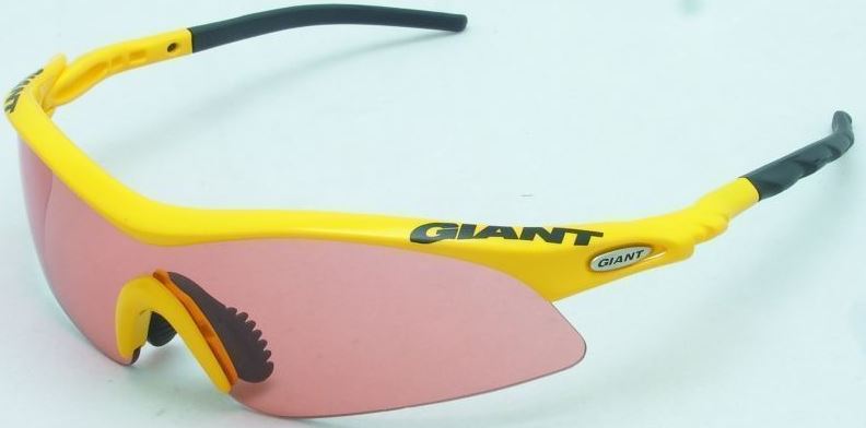 Giant Raptor 2 太陽眼鏡 / Giant Raptor 2 Sunglasses