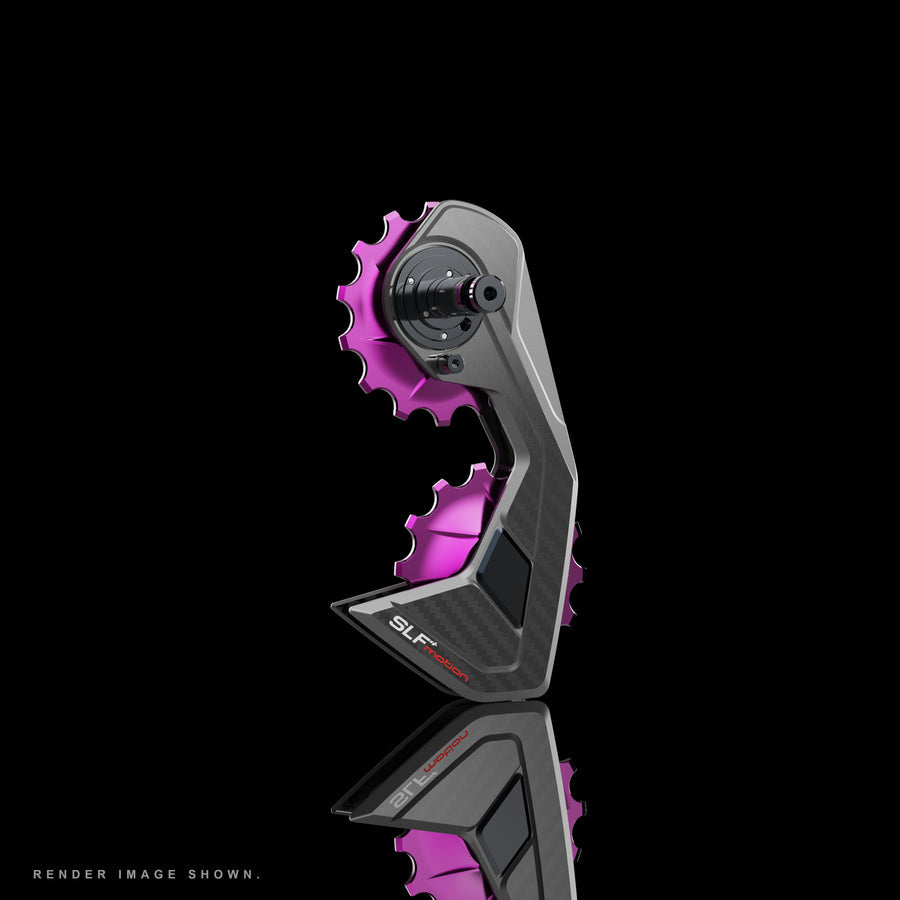 SLF Motion Sprint System 大導輪