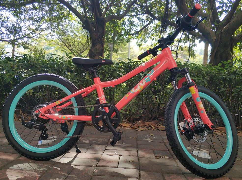 LIV 2020 CATE 20-D 童車~20"/ LIV 2020 CATE 20-D KID BIKE~20'