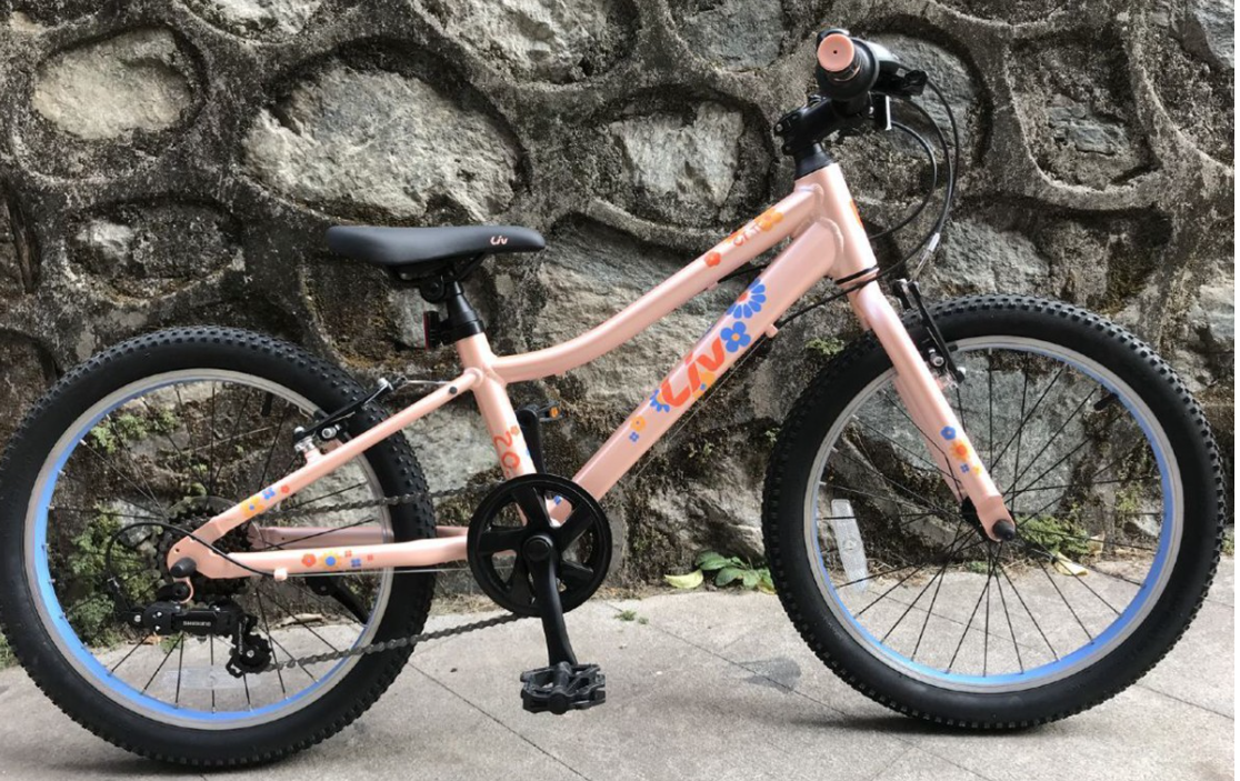 LIV 2020 CATE 20-D 童車~20"/ LIV 2020 CATE 20-D KID BIKE~20'