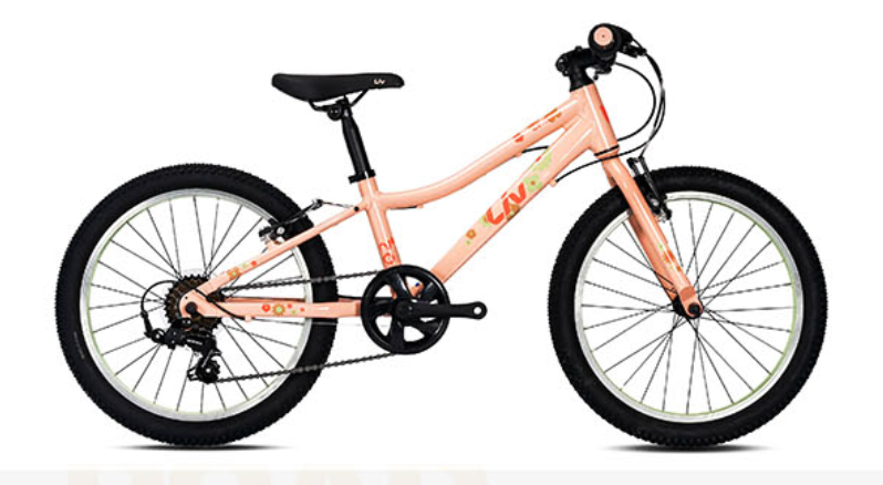 LIV 2020 CATE 20-D 童車~20"/ LIV 2020 CATE 20-D KID BIKE~20'