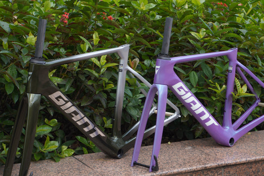 GIANT 2024 PROPEL ADVANCED PRO 公路車車架連前叉/ GIANT 2024 PROPLE ADVANCED PRO FRAME & FORK