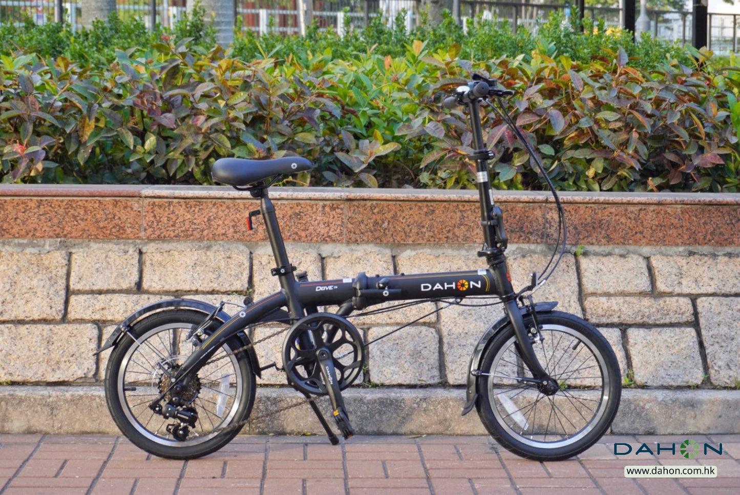 DAHON DOVE D6 鋁合金折疊車-BYA661-16" / DAHON DOVE D6 ALUMINUM FOLDING BIKE-BYA661-16"