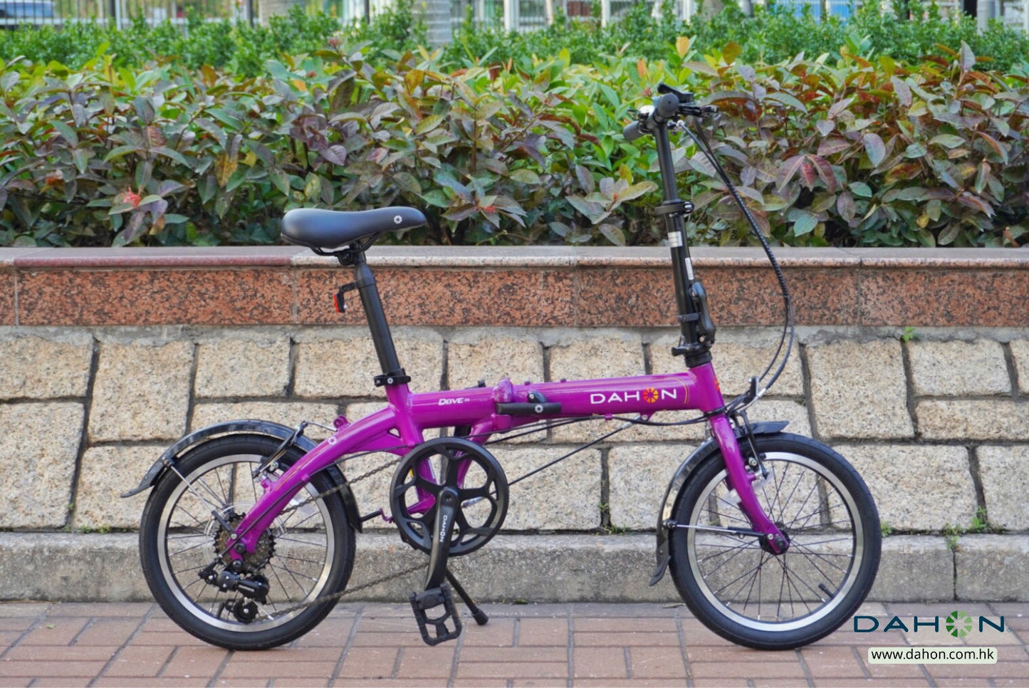 DAHON DOVE D6 鋁合金折疊車-BYA661-16" / DAHON DOVE D6 ALUMINUM FOLDING BIKE-BYA661-16"
