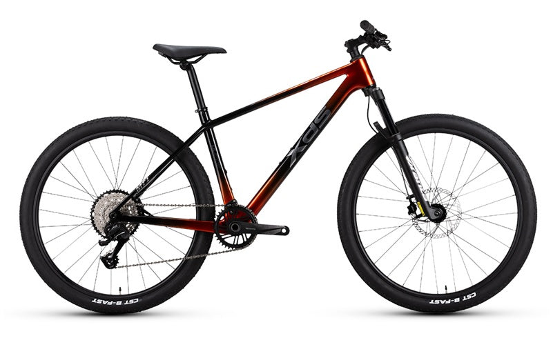 XDS MT1 碳纖維車架油壓碟刹內走線10速山地車 / XDS MT1 10-SPEED Mountain Bike