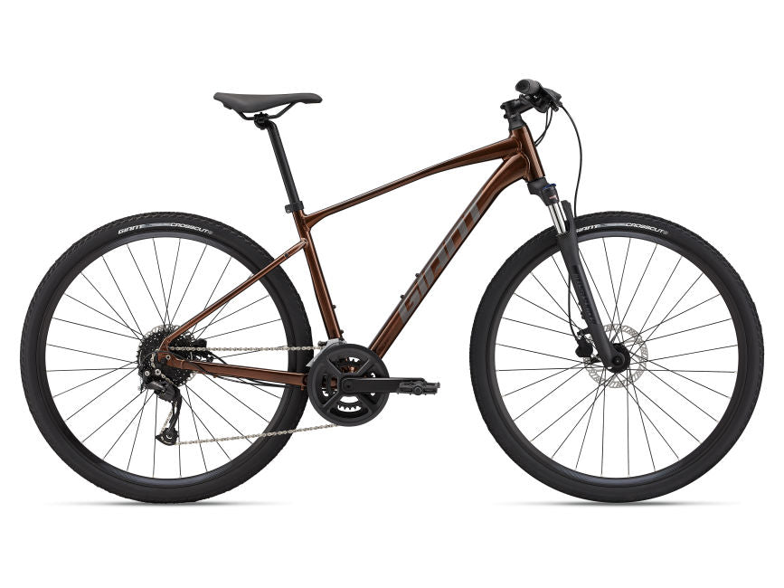 GIANT 2022 ROAM 2 DISC 前避震爬山車/ GIANT 2022 ROAM 2 DISC MOUNTAIN BIKE