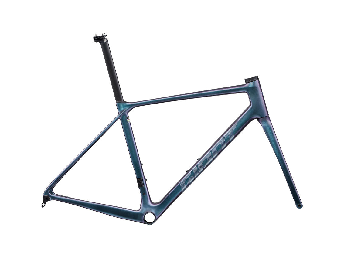 Giant 2025 TCR Advanced Pro 公路車車架連前叉/ Giant 2025 TCR Advanced Pro Frame & Fork