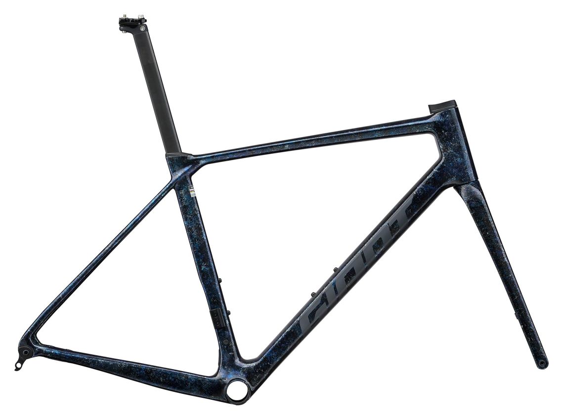 Giant 2025 TCR Advanced Pro 公路車車架連前叉/ Giant 2025 TCR Advanced Pro Frame & Fork