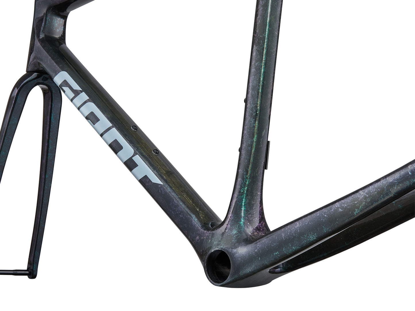 Giant 2025 TCR Advanced SL 公路車車架連前叉/ Giant 2025 TCR Advanced SL Frame & Fork