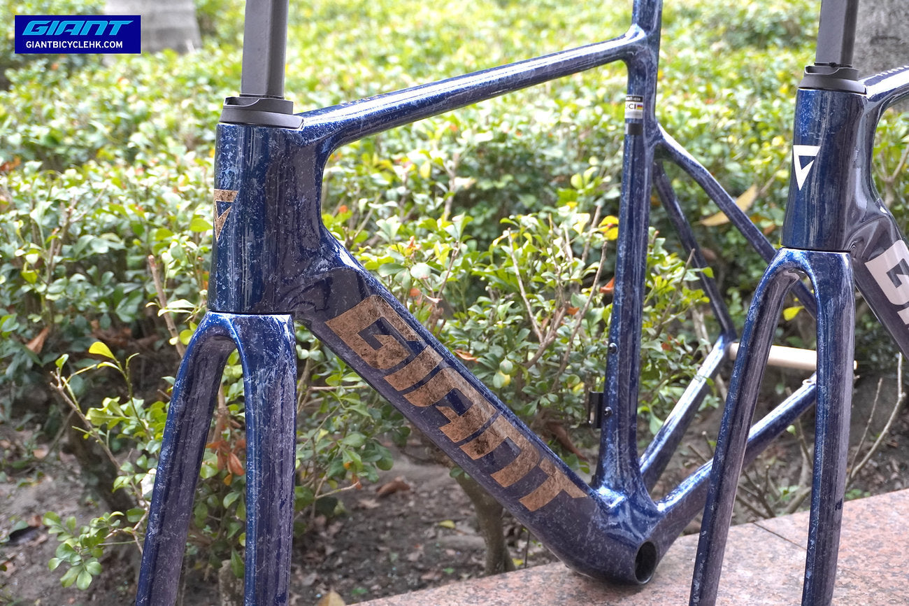 Giant  2025 Propel Advanced SL 公路車車架連前叉/ Giant 2025 Propel Advanced SL Frame & Fork