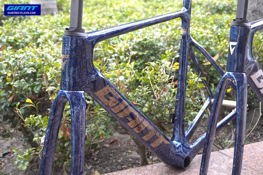 Giant  2025 Propel Advanced SL 公路車車架連前叉/ Giant 2025 Propel Advanced SL Frame & Fork