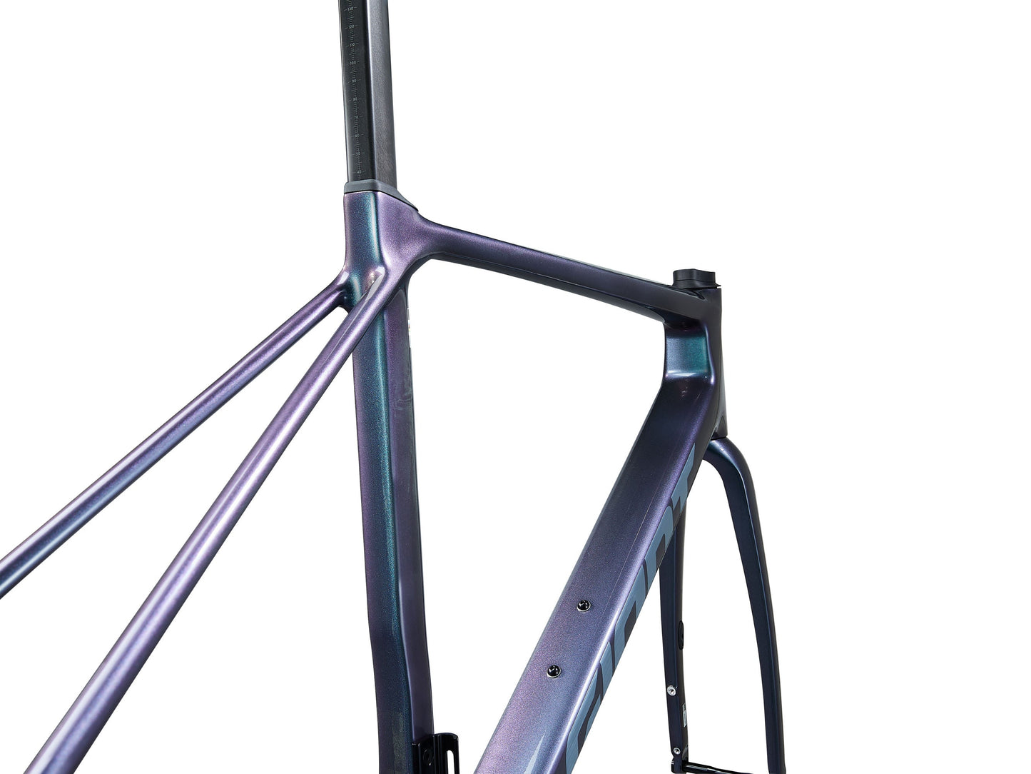 Giant 2025 TCR Advanced Pro 公路車車架連前叉/ Giant 2025 TCR Advanced Pro Frame & Fork