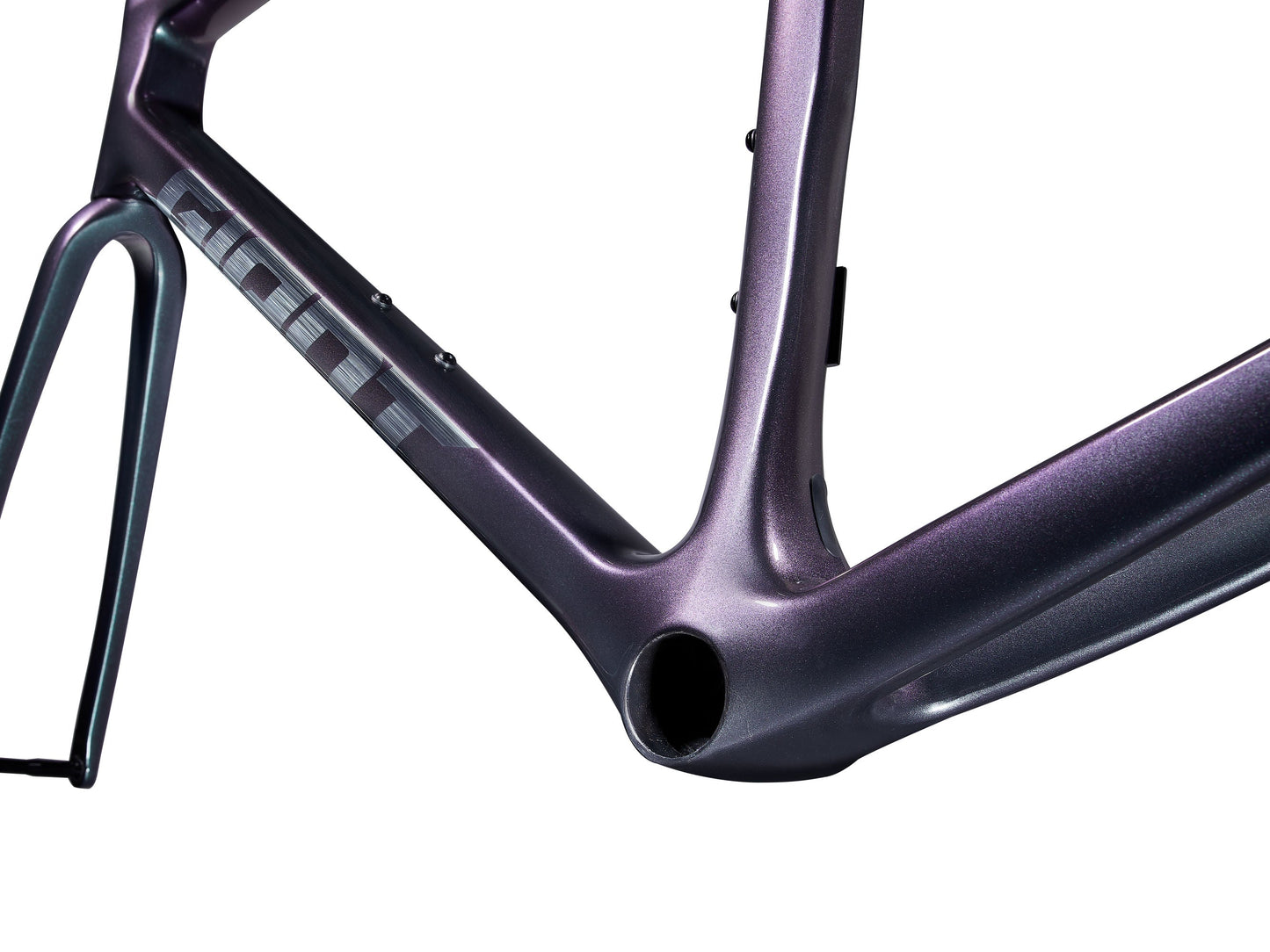 Giant 2025 TCR Advanced Pro 公路車車架連前叉/ Giant 2025 TCR Advanced Pro Frame & Fork