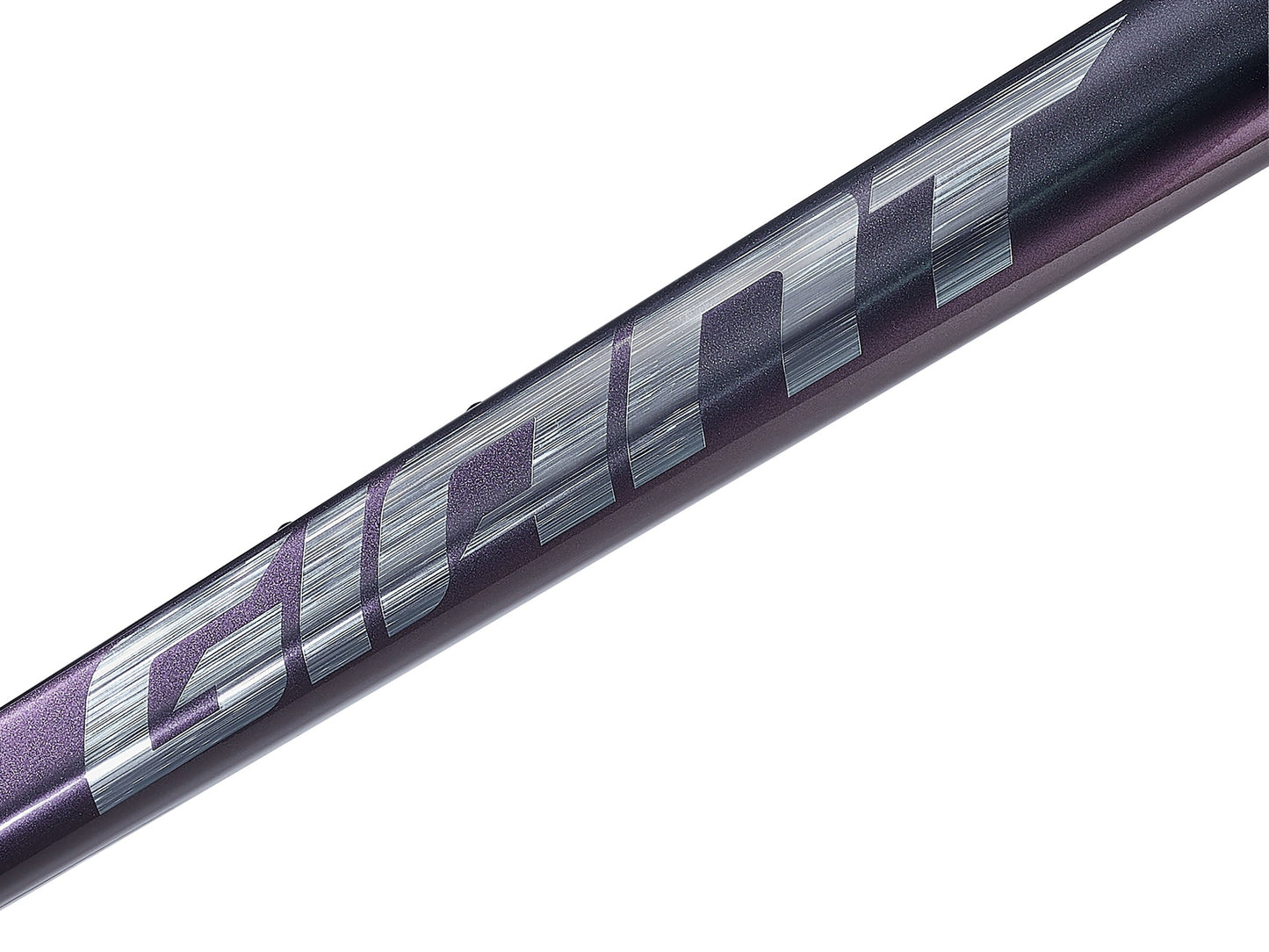 Giant 2025 TCR Advanced Pro 公路車車架連前叉/ Giant 2025 TCR Advanced Pro Frame & Fork