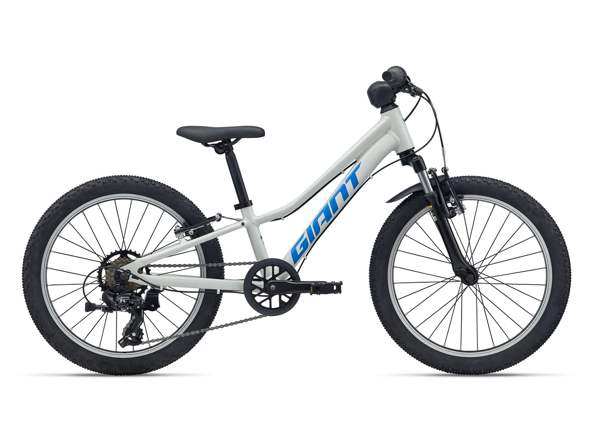 Giant 2027 Talon 20 爬山車