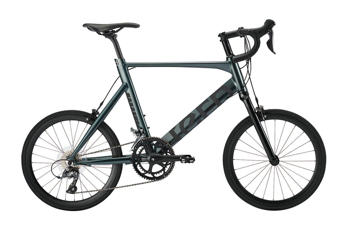 Tern Roji Bike Surge 451小輪徑