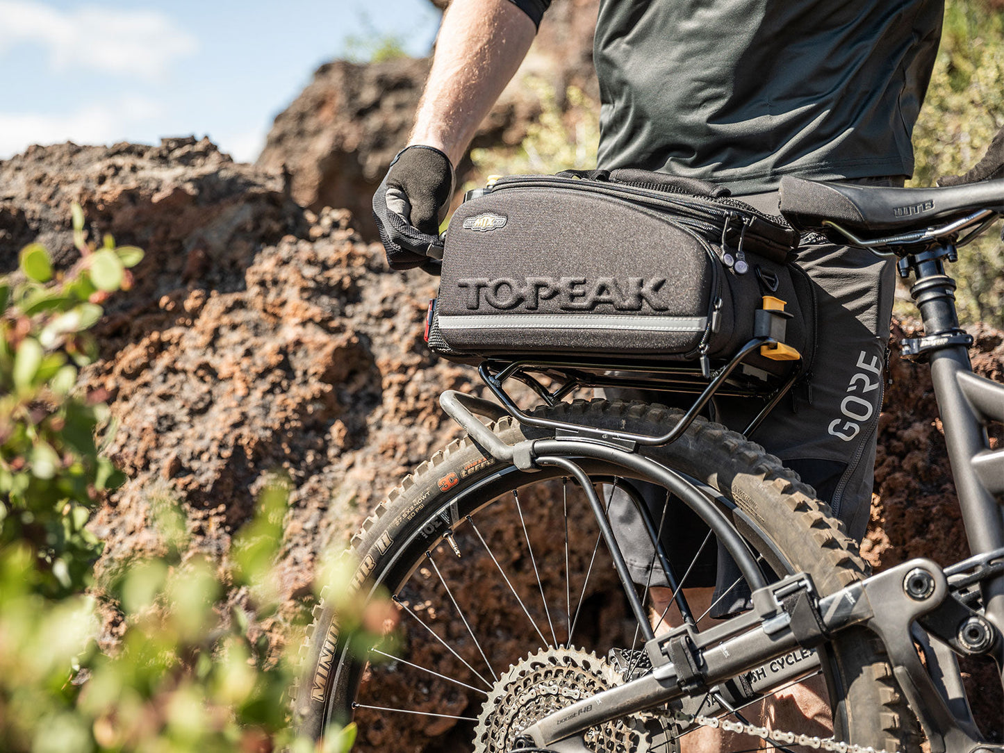 Topeak Tetrarack M2 登山車尾架 / Topeak Tetrarack M2 Mountain Bike Rack