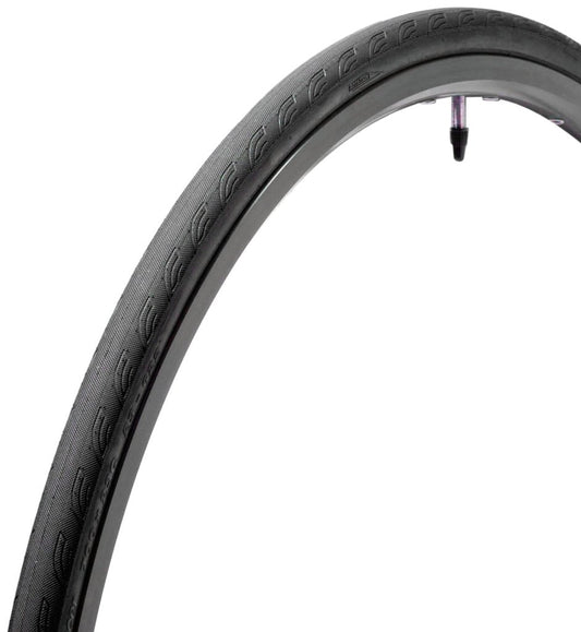 Panaracer Catalyst Sport 可摺外呔 / Panaracer Catalyst Sport Folding Tyre