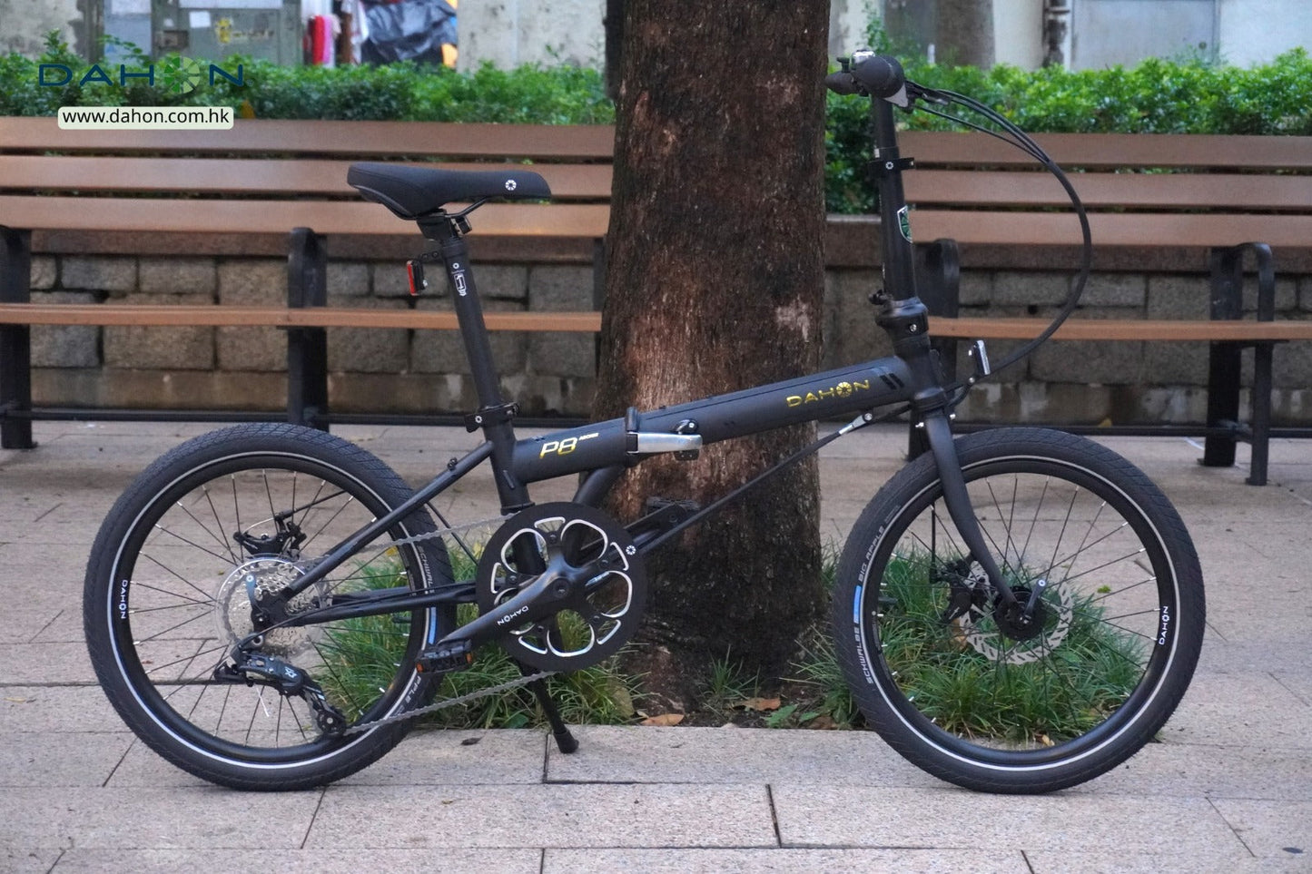 DAHON ARCHER(SPEED P8) 折疊車 -KBC083-20"(碟剎版) / DAHON ARCHER(SPEED P8) FOLDING BIKE-KBC083 (DISC BRAKE)