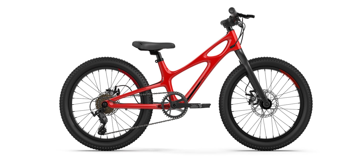 ROYAL BABY CARBON FIBER SPACE SHUTTLE 3速碳纖小童車 -20"