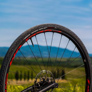 Vittoria Terreno Zero Gravel Endurance 真空可摺外胎
